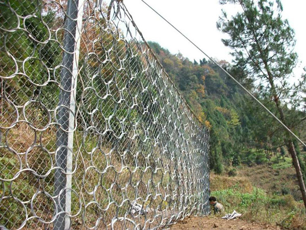柔性邊坡防護網圖片2